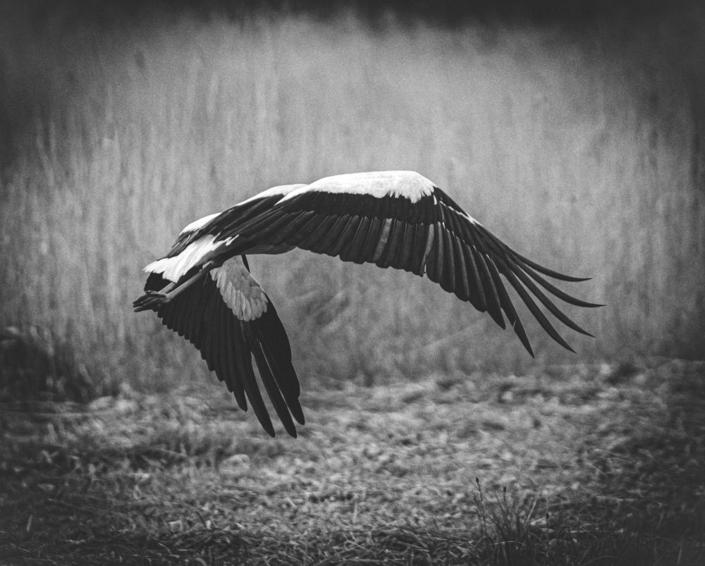 Фотография автора Emilia Szotko