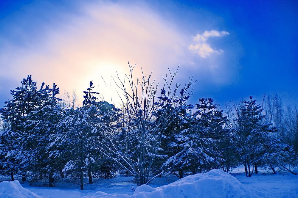 Photograph by Елена Ласун