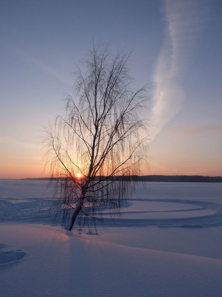 Photograph by Ираида Стародубцева