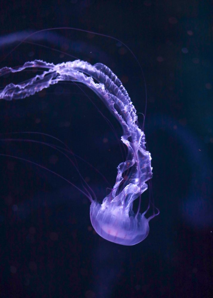 Photograph by Ксения Лаевская