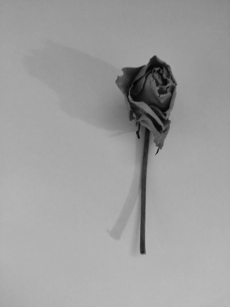 Photograph by Елена Климачева