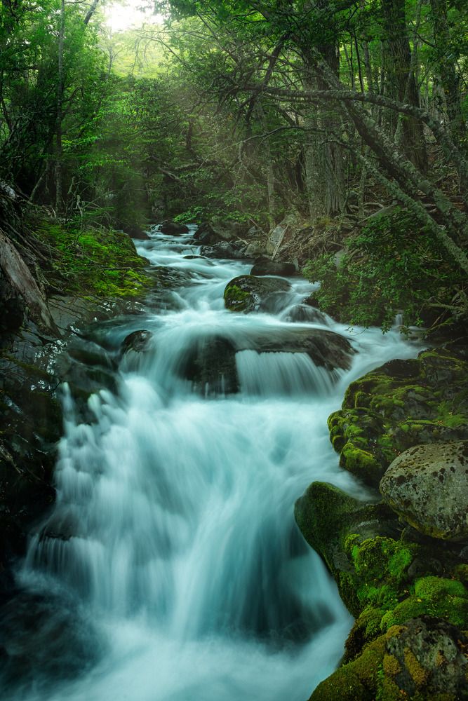 Photograph by Andrés Miraglia