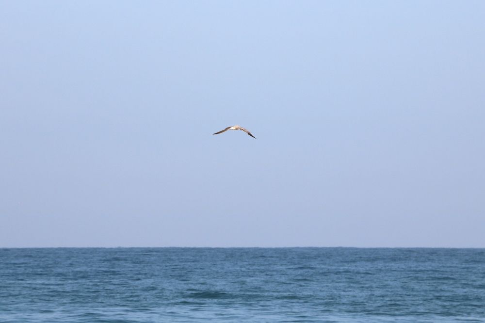 Photograph by Dimuth De Zoysa