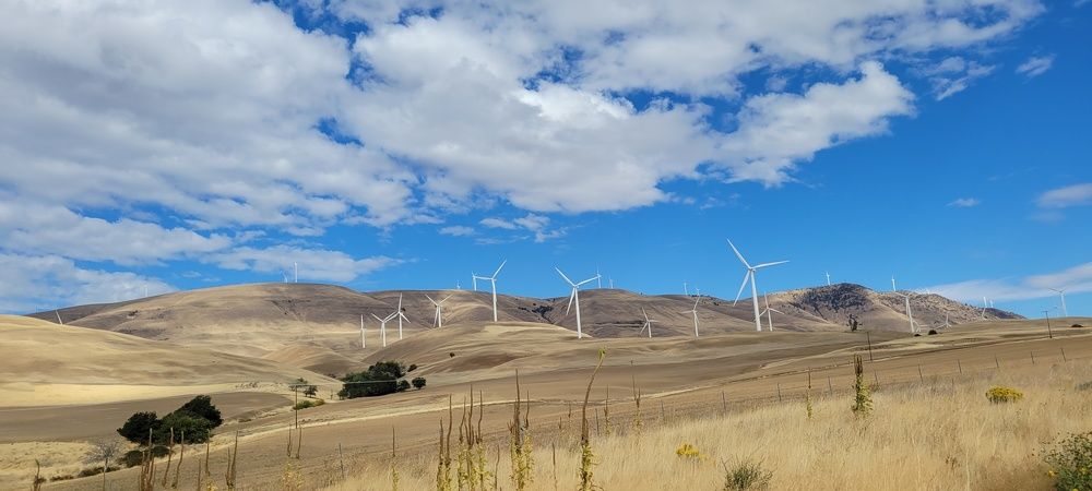 Photograph by Eichner Emily