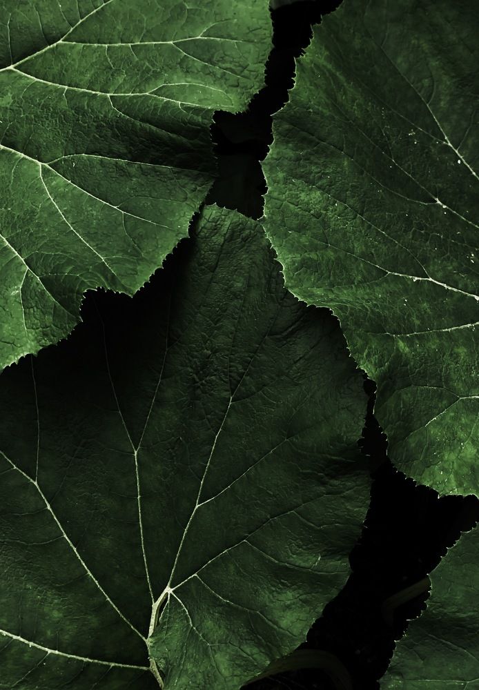 Photograph by Арслан Валаев