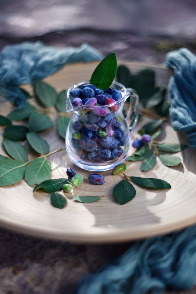 Photograph by Екатерина Глебова