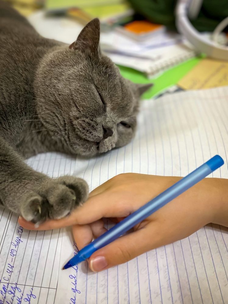 Photograph by Мария Чернецова