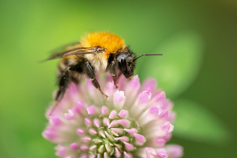 Photograph by Анастасия Петрова