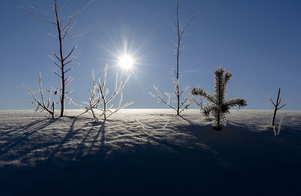 Photograph by Татьяна Марцинковски