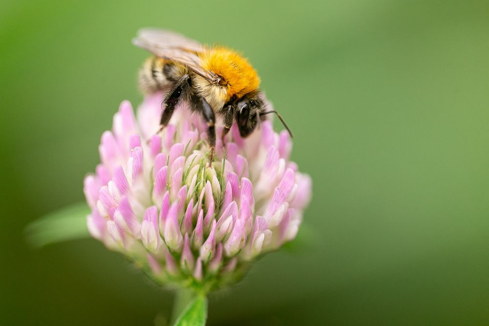 Photograph by Анастасия Петрова