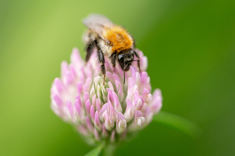 Photograph by Анастасия Петрова