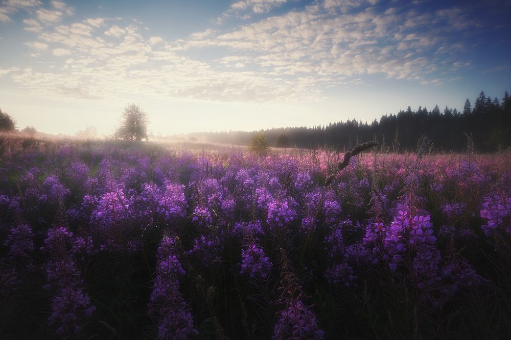 Photograph by Кононов Антон