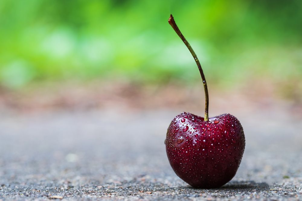 Фотография автора Мария Обидина
