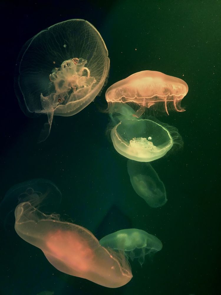 Photograph by Дарья