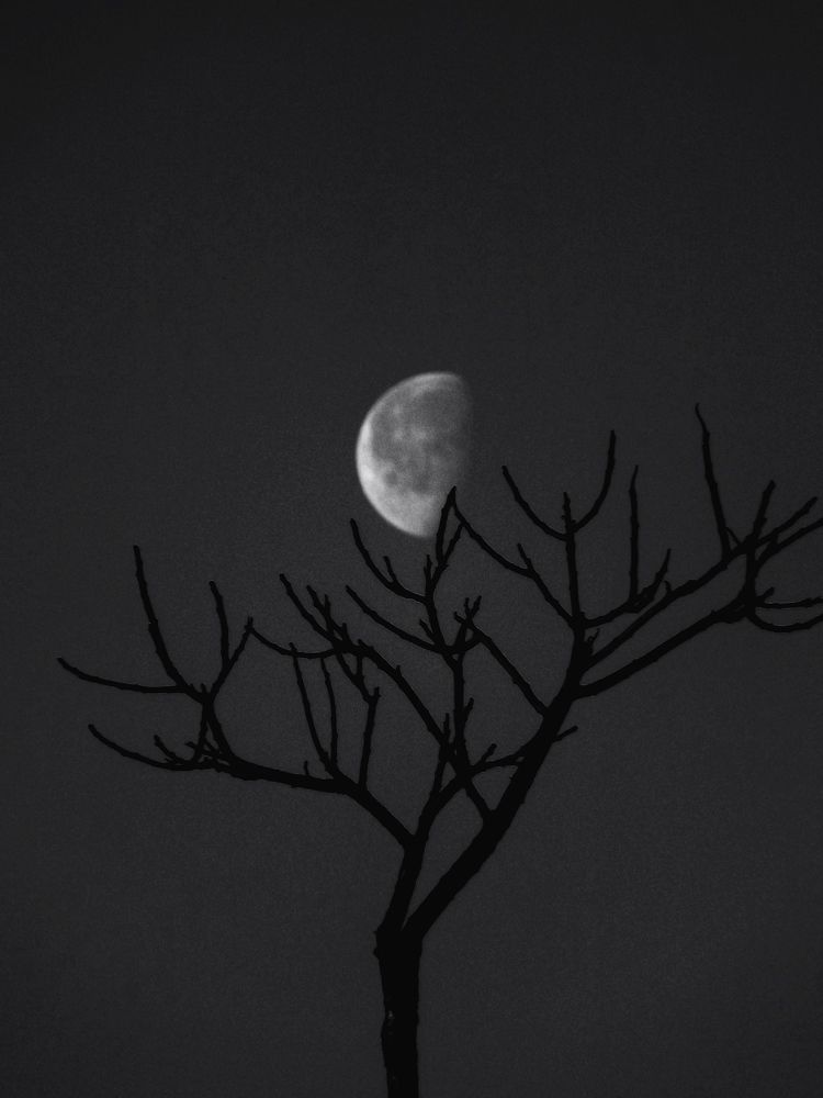 Photograph by Янина Черпухина-Андреева