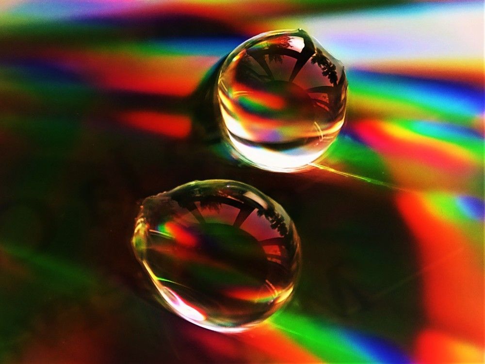 Photograph by UWE SÜSSMANN