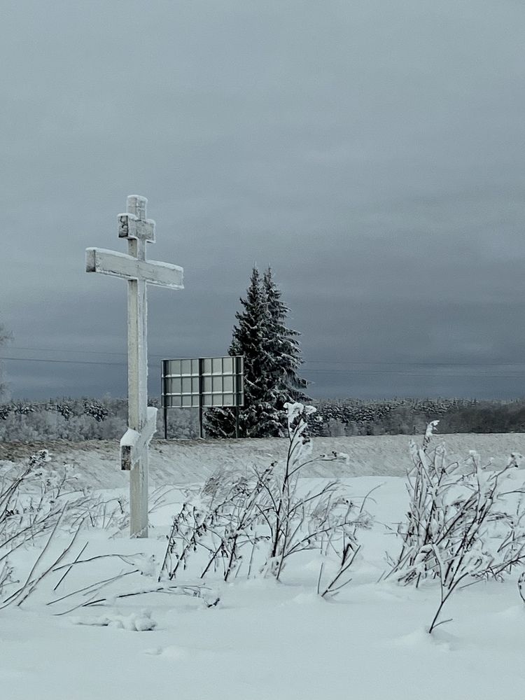 Photograph by Марина Танаева