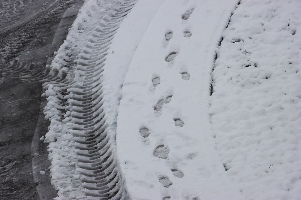 Photograph by Arsalan mohamadniya