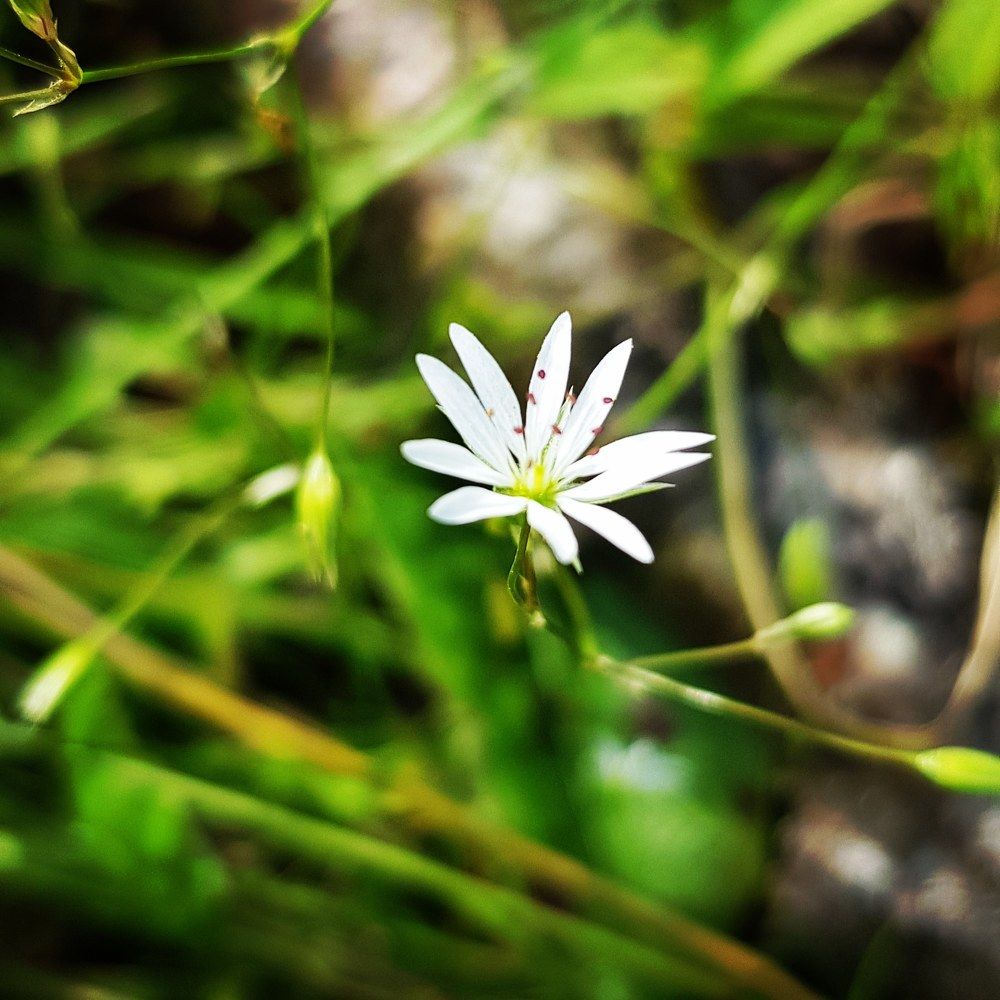 Photograph by Наталья Светлова