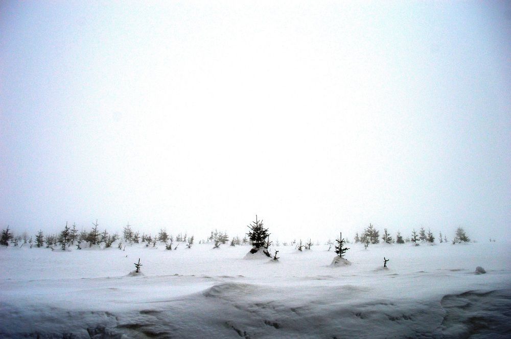 Photograph by Olja Simović