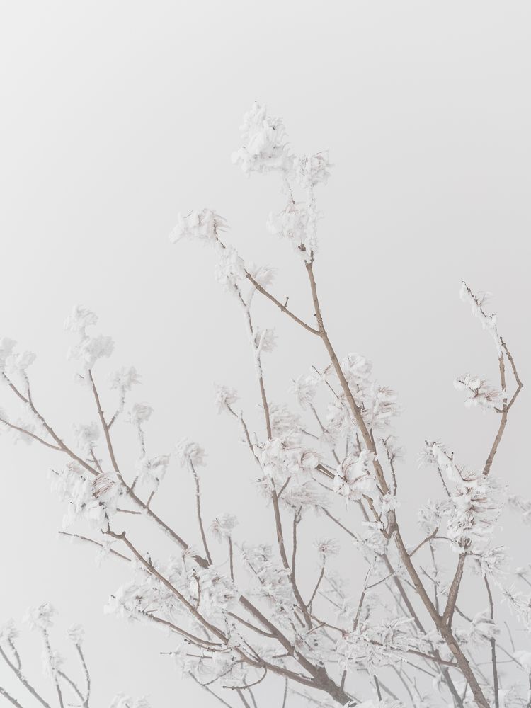 Photograph by Elena Simonova