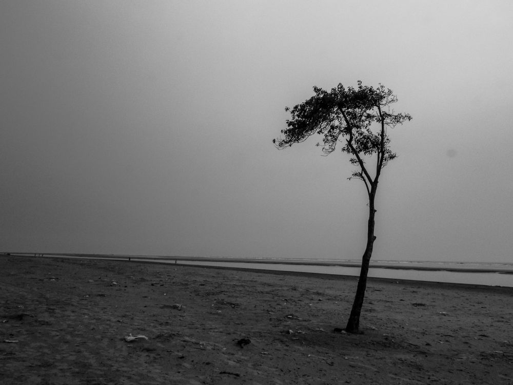 Photograph by Saswata Mukherjee