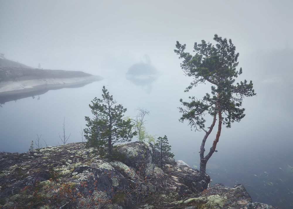 Photograph by Кононов Антон