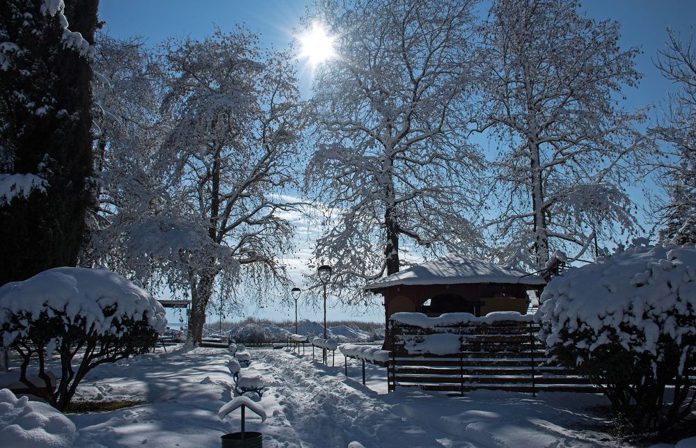 Photograph by Stojan