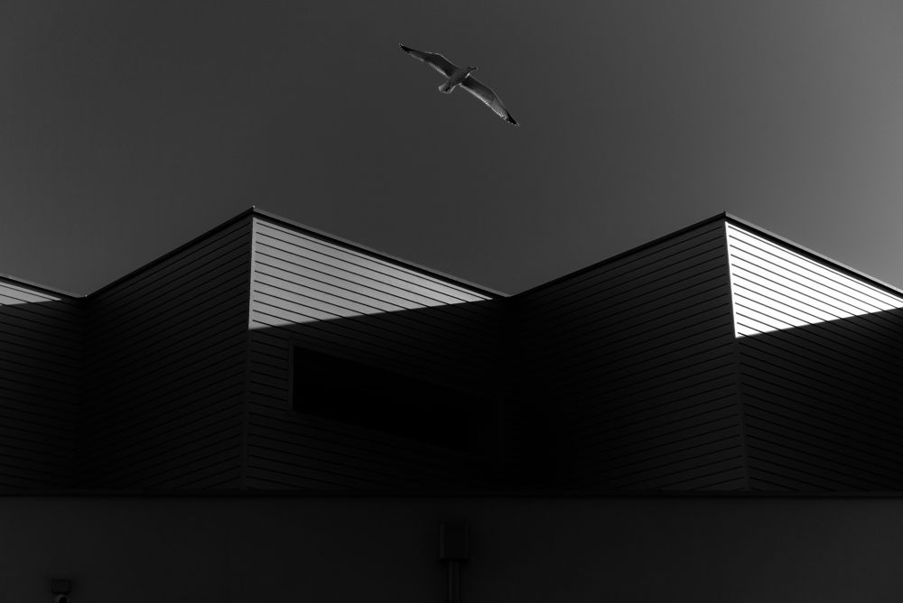 Photograph by Mario Zupanovic