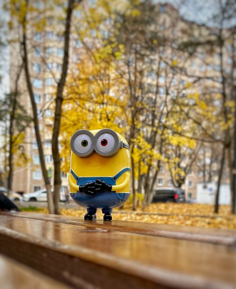 Photograph by Ирина Ивина