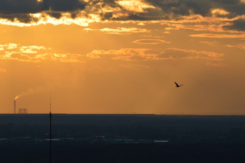 Photograph by Olja Simović
