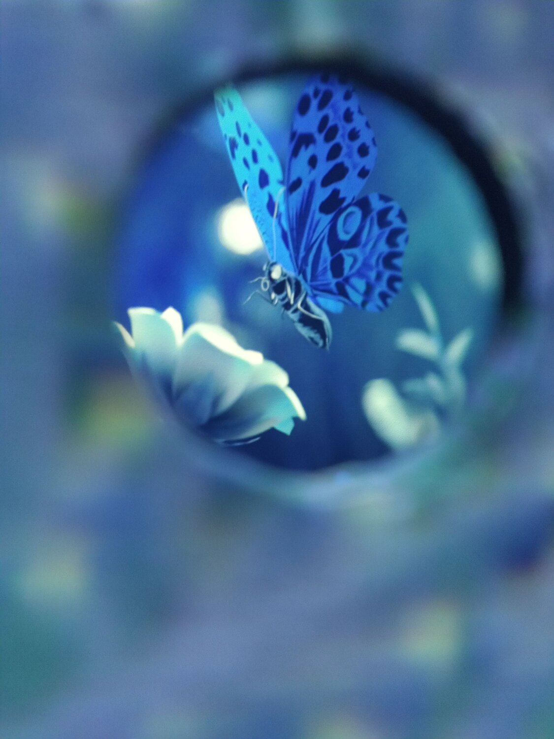 Photo #7413311