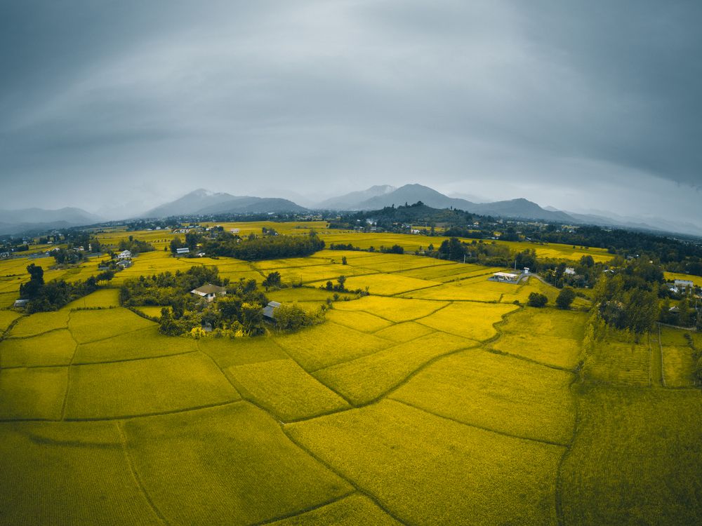 Photograph by Shahram jahansooz