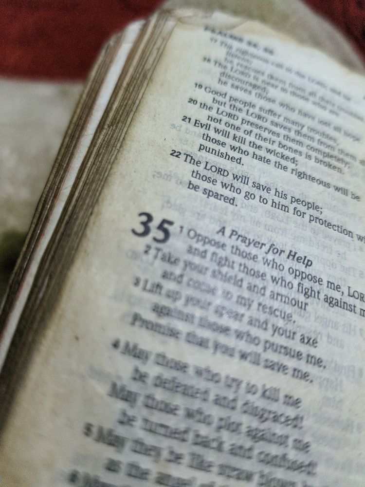 Фотография автора serubogo vicentes