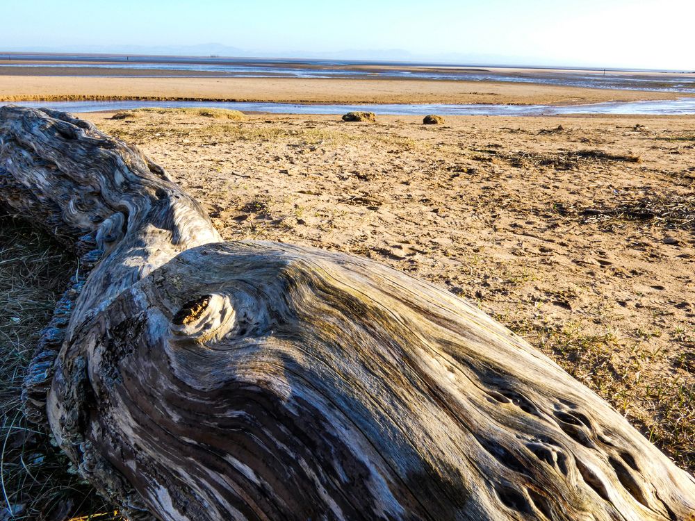 Фотография автора Michael Gault