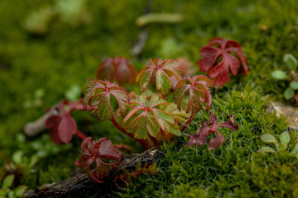 Photograph by Альберт Жильцов