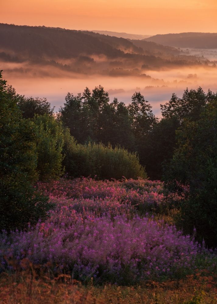 Photograph by Наталья Краснова