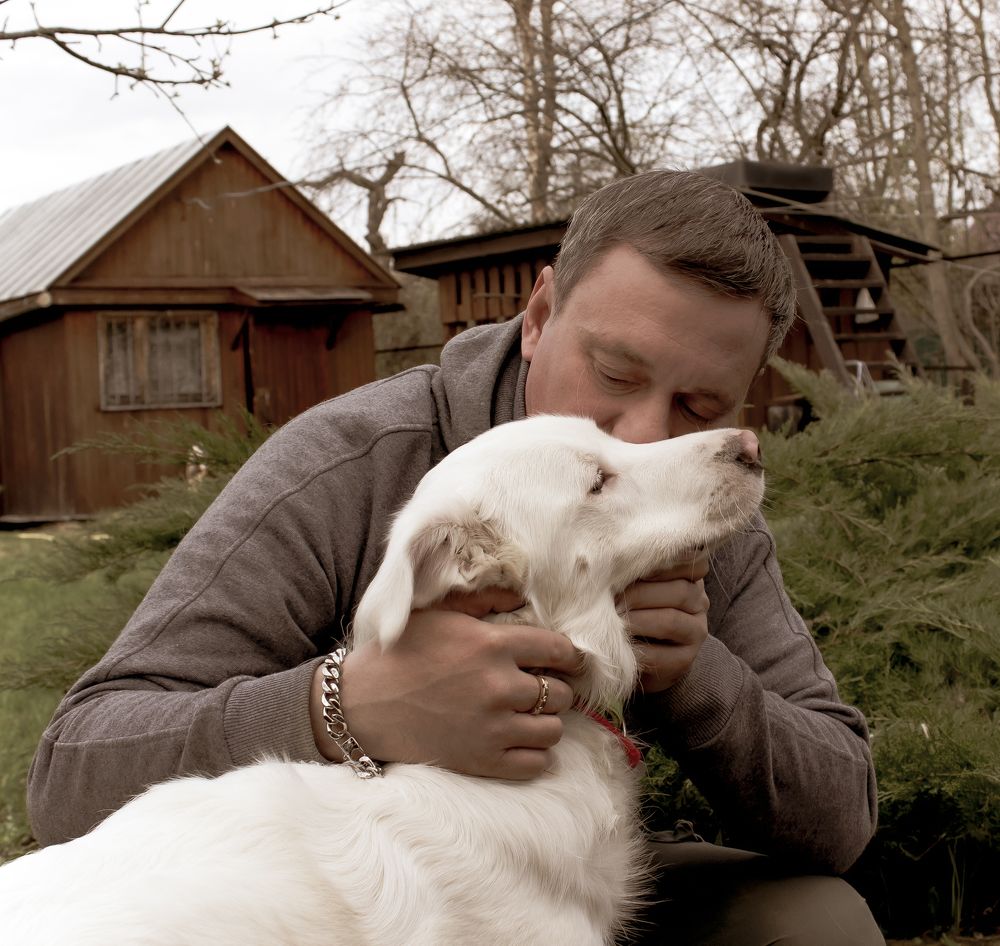 Верные друзья