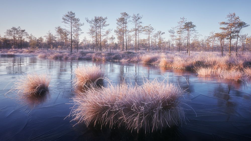 Photograph by Кононов Антон