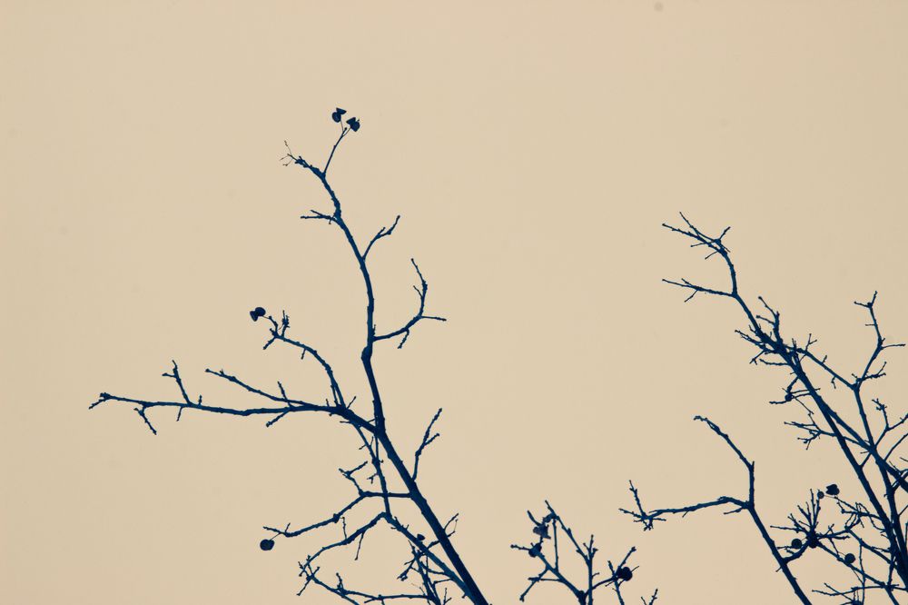 Photograph by Ольга Степанова