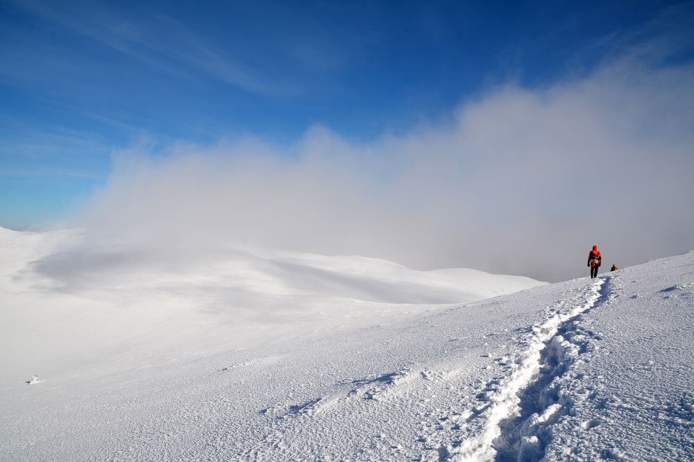 Photograph by Екатерина Крючкова