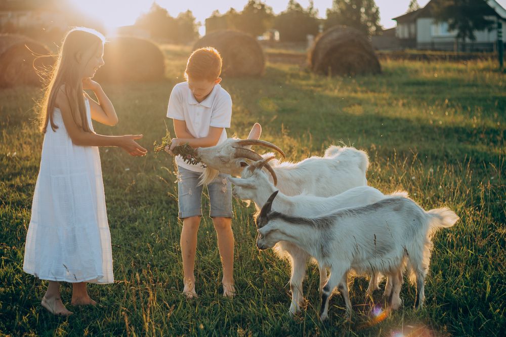 Photograph by Светлана Огнёва