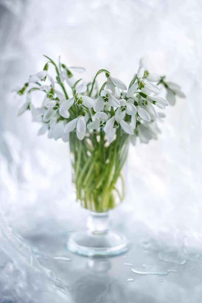 Photograph by Татьяна Кытина