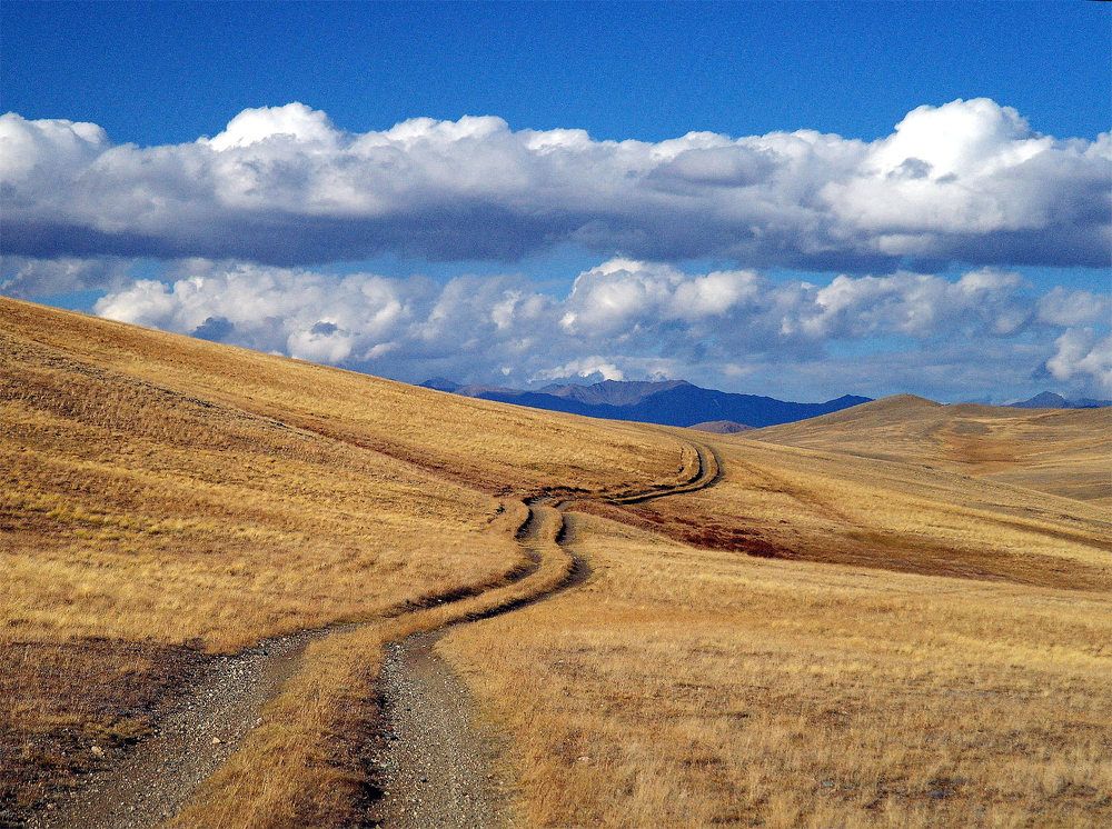 Photograph by Дмитрий Ткаченко