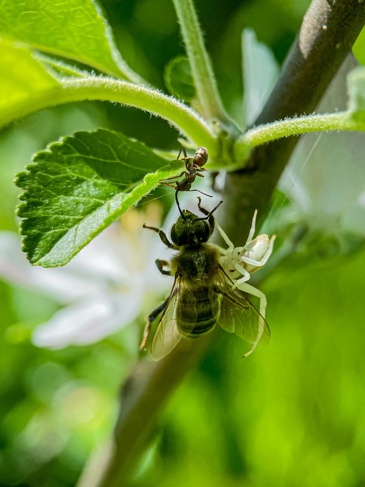 Photograph by Мария Чернецова