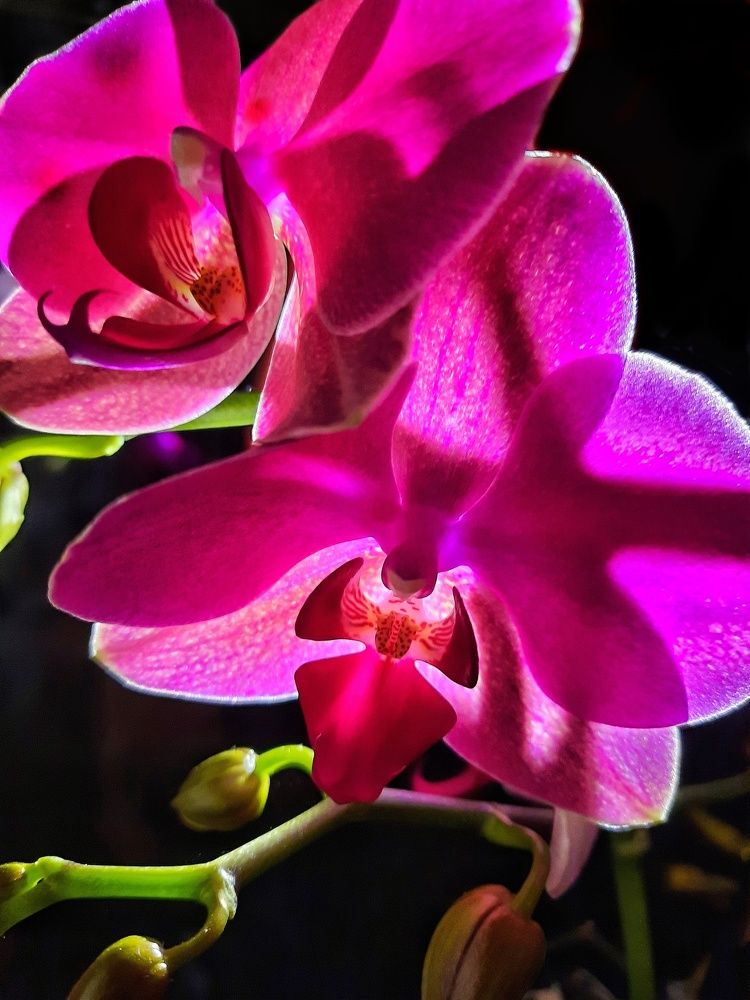 Photograph by Татьяна Григорчук