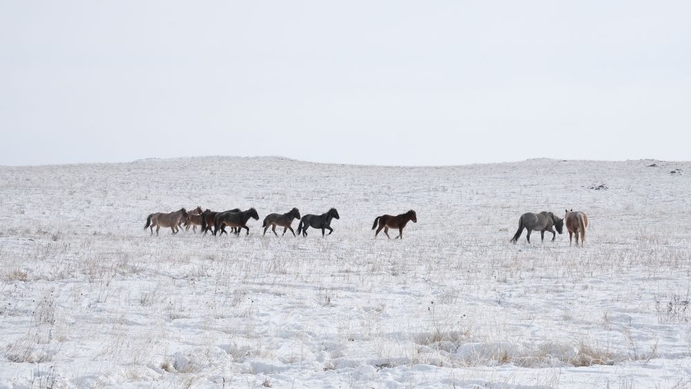 Фотография автора Марина Савчиц