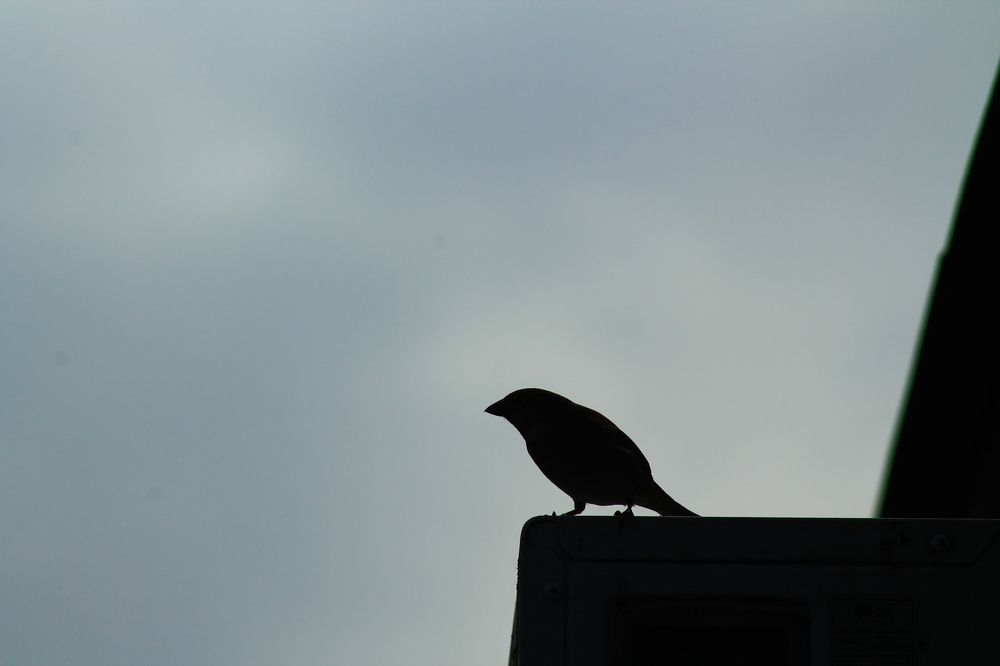 Photograph by Марина Кравцова