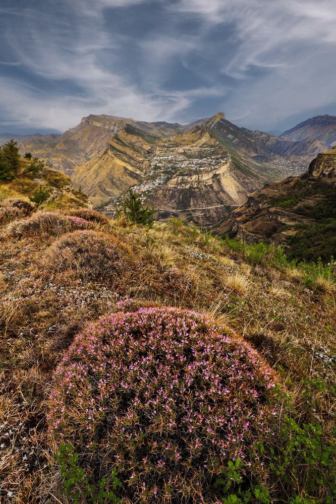 Photograph by Надежда Никитина