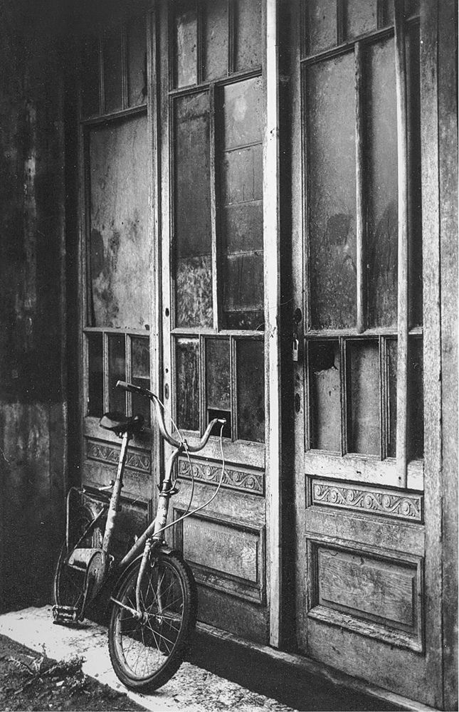 Фотография автора Marina